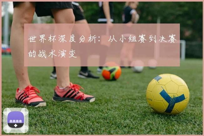 世界杯深度分析:从小组赛到决赛的战术演变