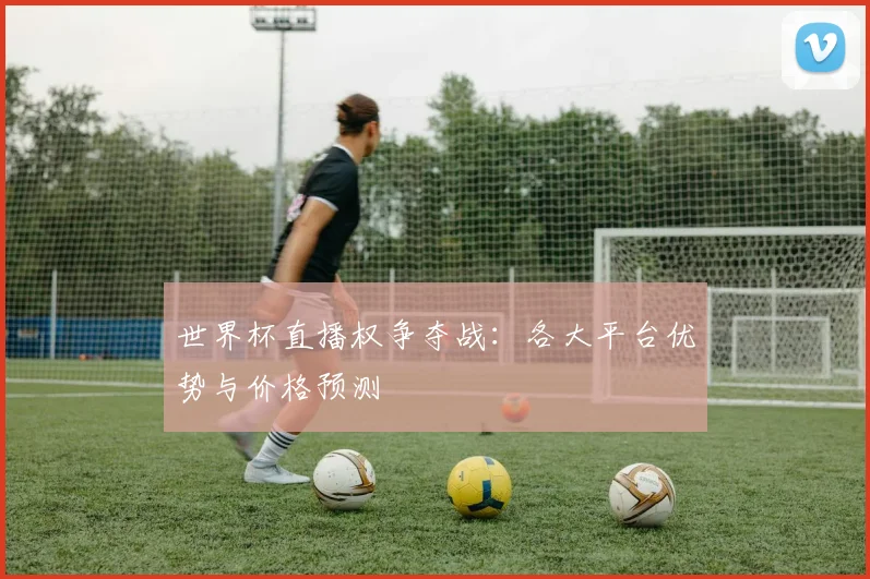 世界杯直播权争夺战:各大平台优势与价格预测